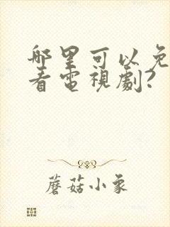 哪里可以免费观看电视剧?