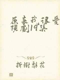原来我很爱你电视剧19集