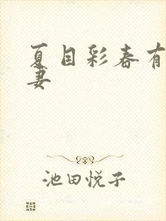 夏目彩春有码人妻封面