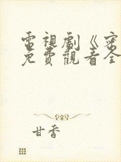 电视剧《密战》免费观看全集