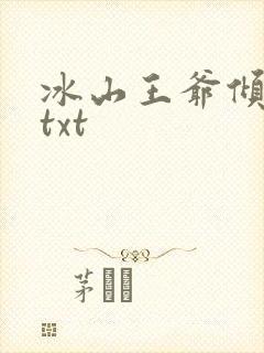 冰山王爷倾城妃txt