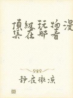 顶级玩物漫画全集在哪看