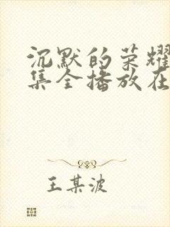 沉默的荣耀40集全播放在线观看封面