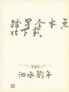 踏星全本免费txt下载