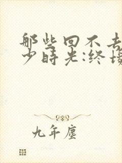 那些回不去的年少时光:终场封面