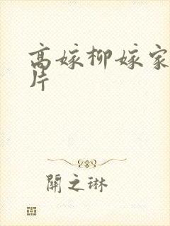 高嫁柳嫁家动画片
