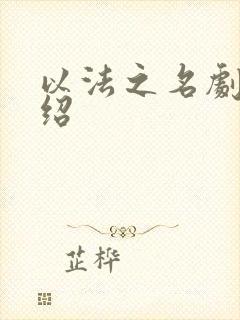 以法之名剧情介绍封面