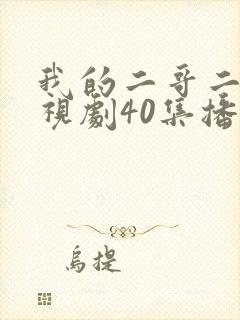 我的二哥二嫂电视剧40集播放
