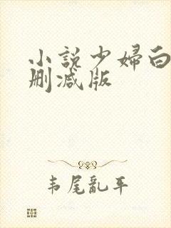 小说少妇白洁无删减版