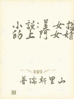 小说:美女总裁的上门女婿