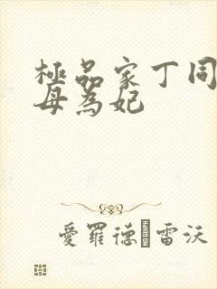 极品家丁同人封母为妃