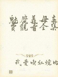 魅魔义母来了免费观看全集封面