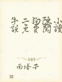 牛二狗陈小燕小说免费阅读全文无弹窗
