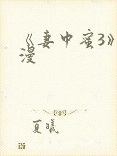 《妻中蜜3》动漫