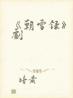 《朝雪录》电视剧