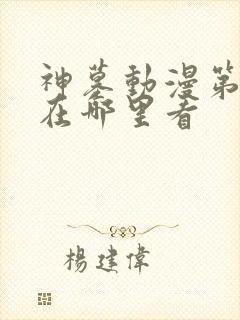 神墓动漫第二季在哪里看