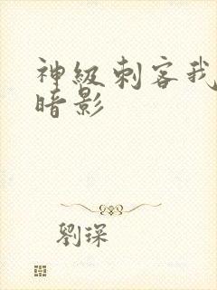 神级刺客我即为暗影