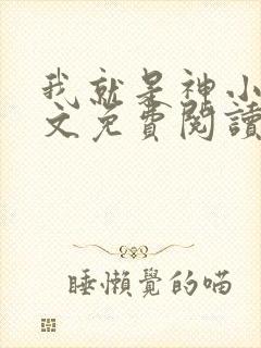 我就是神小说全文免费阅读封面