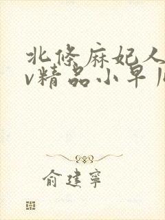 北条麻妃人妻av精品小早川怜子封面