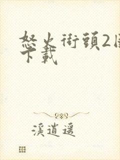 怒火街头2国语下载