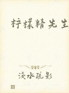 柠檬精先生封面