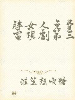 胖女人免费高清电视剧第三季