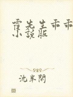 霍先生乖乖宠我小说版