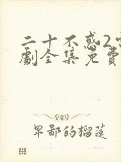 二十不惑2电视剧全集免费观看完整版