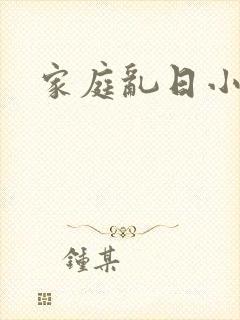 家庭乱日小说