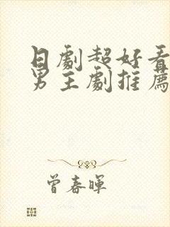 日剧超好看的双男主剧推荐