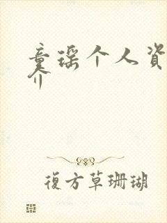 童瑶个人资料简介