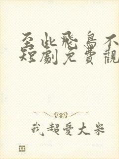 至此飞鸟不相逢短剧免费观看全集封面