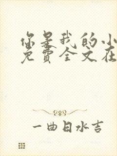 你是我的小确幸免费全文在线阅读