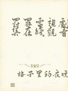 罚罪电视剧40集在线观看免费高清