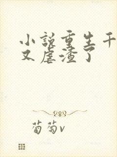 小说重生千金她又虐渣了