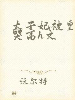 太子妃被皇上c哭高h文