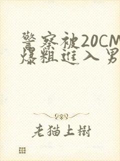 警察被20CM爆粗进入男男软件