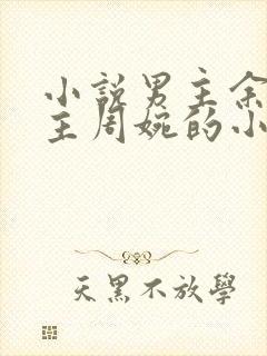 小说男主余年女主周婉的小说封面