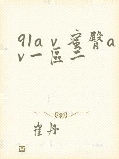 91aⅴ蜜臀av一区二封面