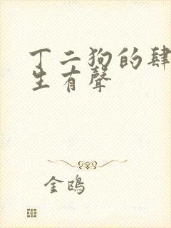 丁二狗的肆意人生有声