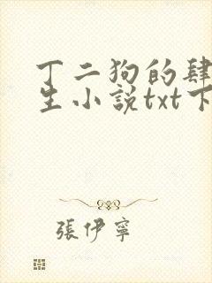 丁二狗的肆意人生小说txt下载封面