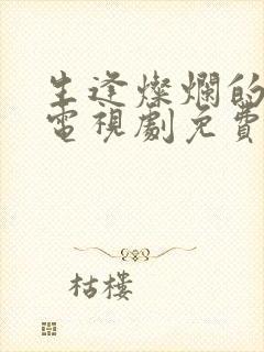 生逢灿烂的日子电视剧免费观看全集封面