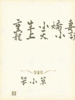 重生小娇妻大佬宠上天 小说