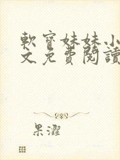 软宝妹妹小说全文免费阅读无弹窗