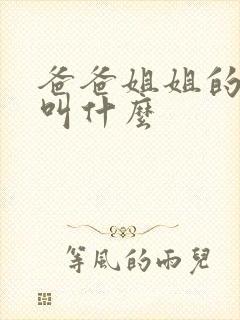 爸爸姐姐的老公叫什么