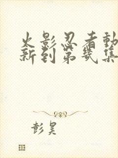 火影忍者动漫更新到第几集了