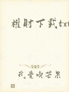 权财下载txt