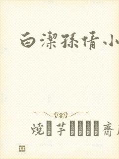 白洁孙倩小说封面