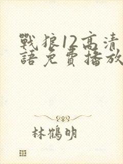 战狼12高清国语免费播放