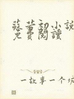 苏若初小说全文免费阅读封面